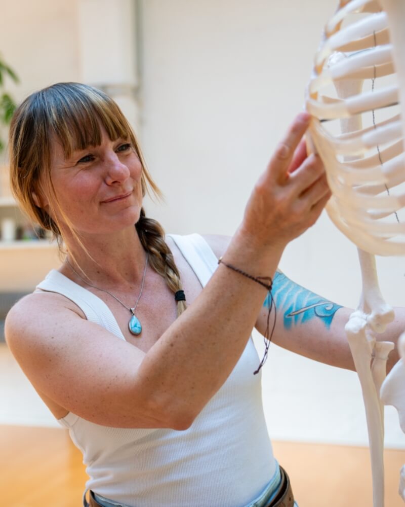 20h Anatomie Intensiv Training mit Desiree Vauth mobil 20h Anatomie Intensiv Training mit Desiree Vauth mobil